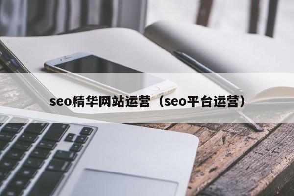 seo精华网站运营(seo平台运营)